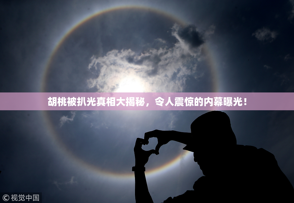 胡桃被扒光真相大揭秘，令人震惊的内幕曝光！