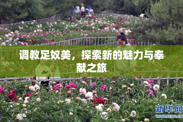 调教足奴美，探索新的魅力与奉献之旅