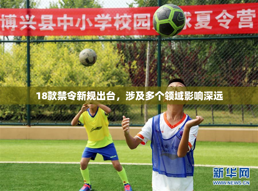 18款禁令新规出台，涉及多个领域影响深远