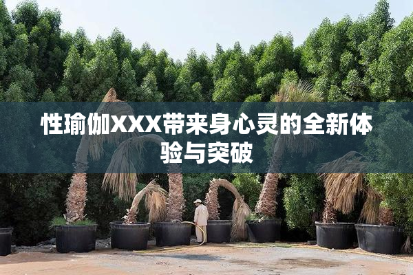 性瑜伽XXX带来身心灵的全新体验与突破