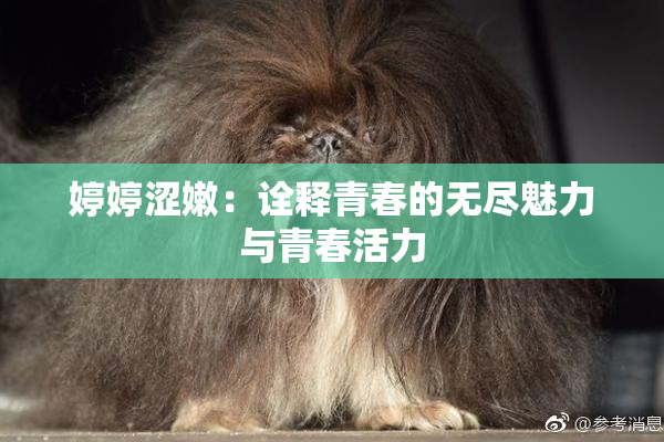 婷婷涩嫩：诠释青春的无尽魅力与青春活力