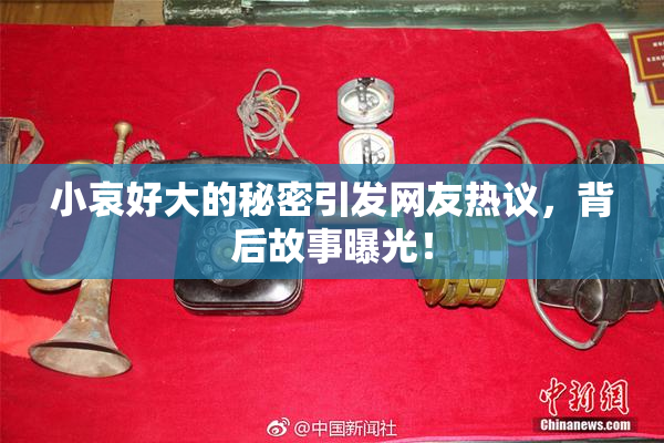 小哀好大的秘密引发网友热议，背后故事曝光！