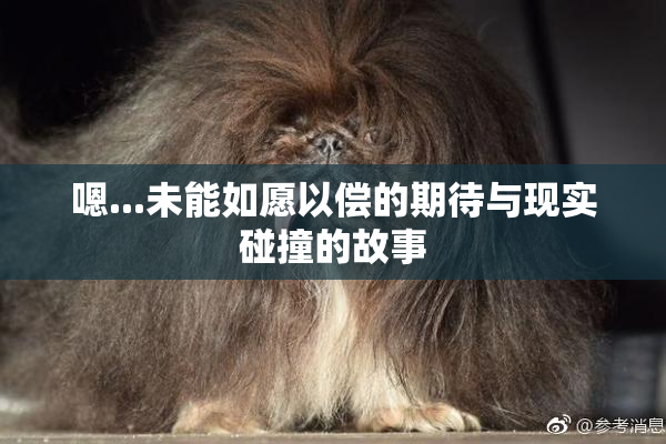 嗯...未能如愿以偿的期待与现实碰撞的故事