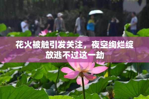 花火被触引发关注，夜空绚烂绽放逃不过这一劫