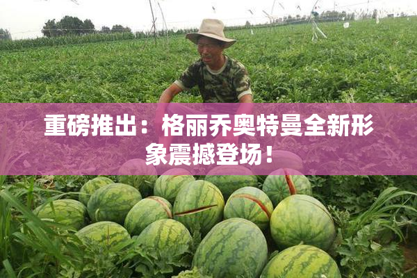 重磅推出：格丽乔奥特曼全新形象震撼登场！