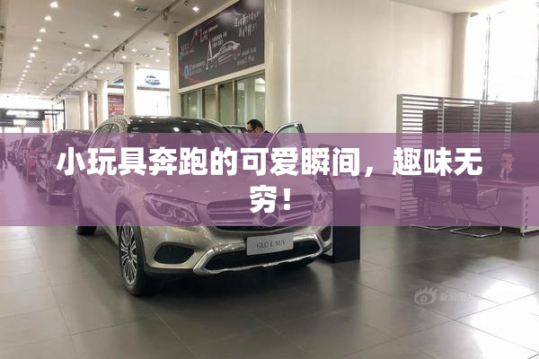 小玩具奔跑的可爱瞬间，趣味无穷！