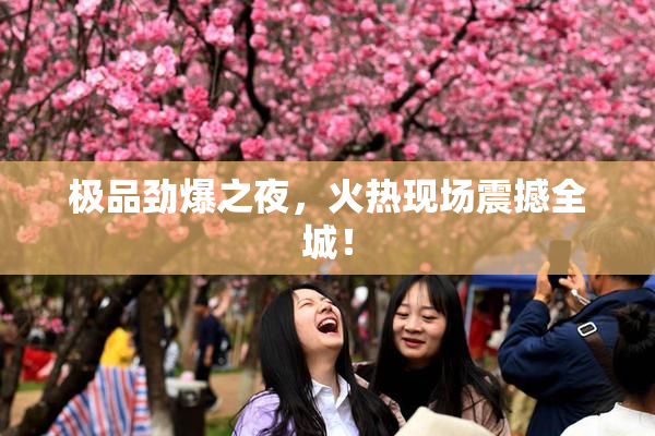 极品劲爆之夜，火热现场震撼全城！