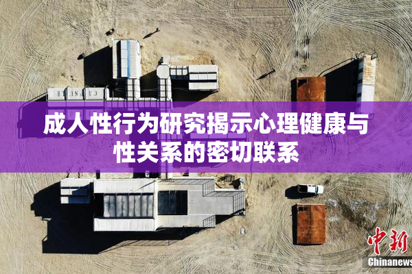 成人性行为研究揭示心理健康与性关系的密切联系