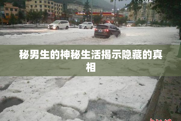 秘男生的神秘生活揭示隐藏的真相