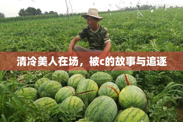 清冷美人在场，被c的故事与追逐