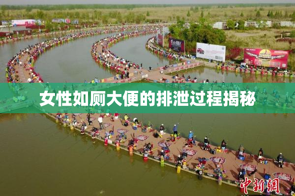 女性如厕大便的排泄过程揭秘