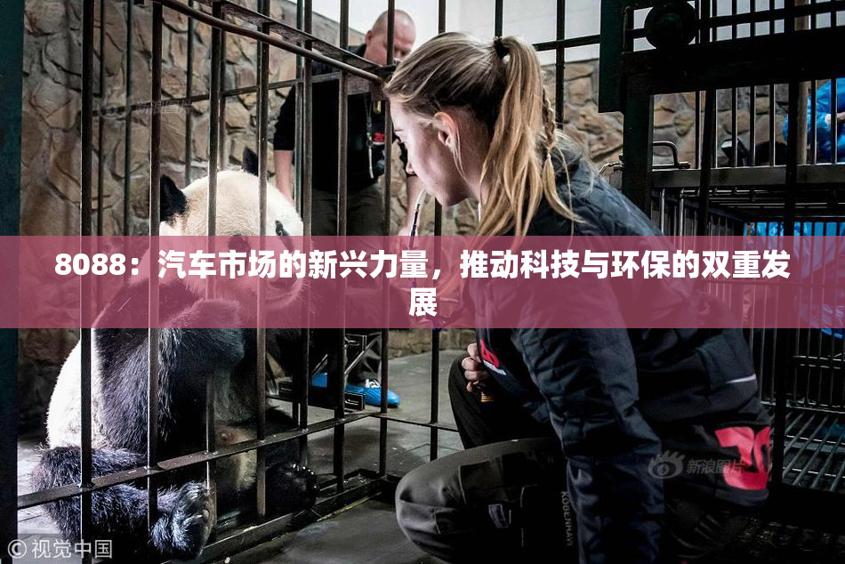8088：汽车市场的新兴力量，推动科技与环保的双重发展