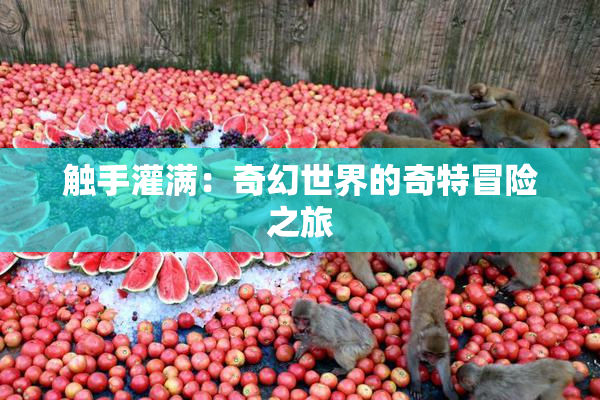 触手灌满：奇幻世界的奇特冒险之旅