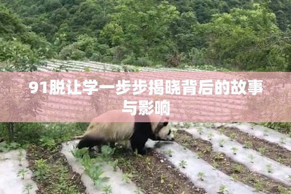 91脱让学一步步揭晓背后的故事与影响