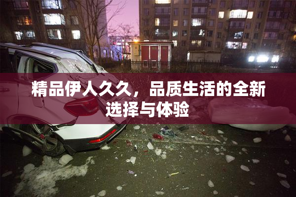 精品伊人久久，品质生活的全新选择与体验