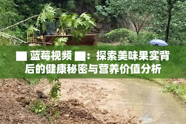 ▇ 蓝莓视频 ▇：探索美味果实背后的健康秘密与营养价值分析
