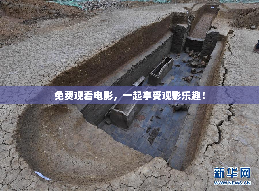 免费观看电影，一起享受观影乐趣！