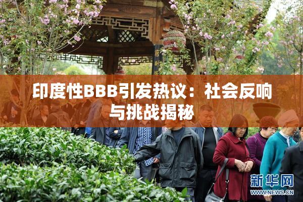 印度性BBB引发热议：社会反响与挑战揭秘