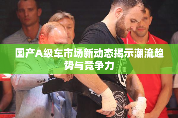 国产A级车市场新动态揭示潮流趋势与竞争力