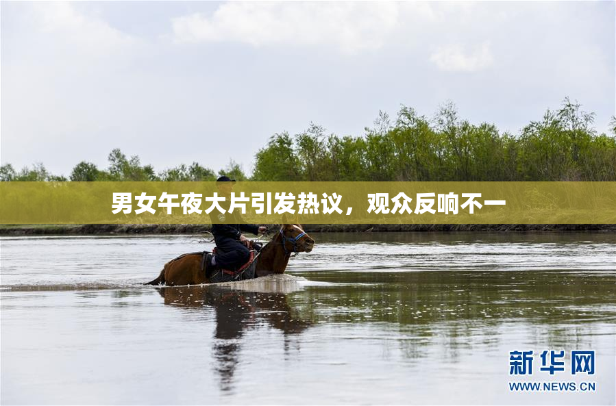 男女午夜大片引发热议，观众反响不一