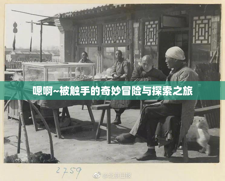 嗯啊~被触手的奇妙冒险与探索之旅