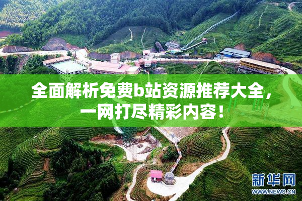 全面解析免费b站资源推荐大全，一网打尽精彩内容！