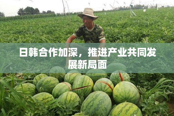 日韩合作加深，推进产业共同发展新局面