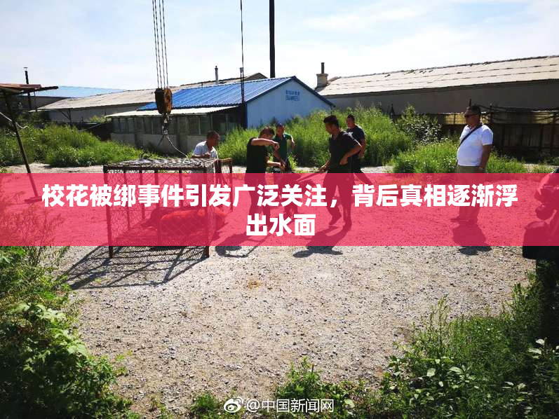 校花被绑事件引发广泛关注，背后真相逐渐浮出水面