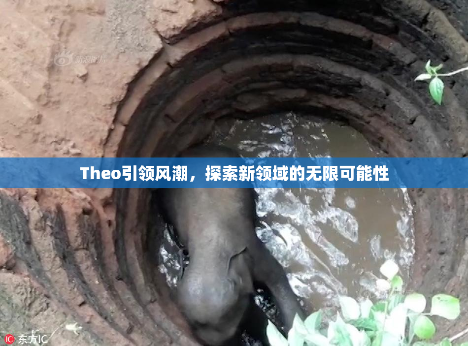 Theo引领风潮，探索新领域的无限可能性