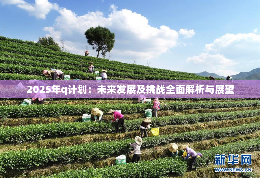 2025年q计划：未来发展及挑战全面解析与展望