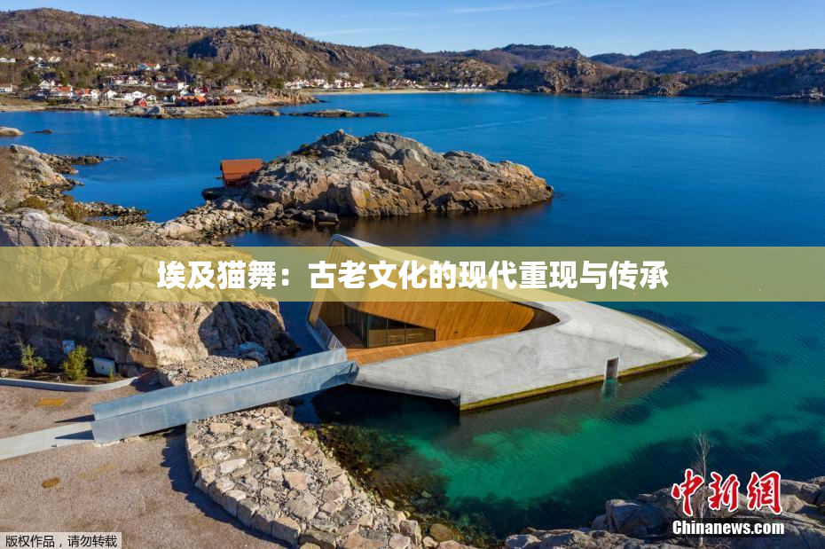 埃及猫舞：古老文化的现代重现与传承
