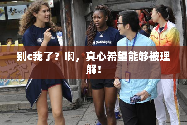 别c我了？啊，真心希望能够被理解！