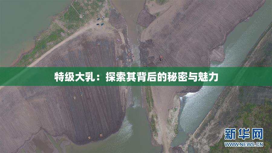 特级大乳：探索其背后的秘密与魅力