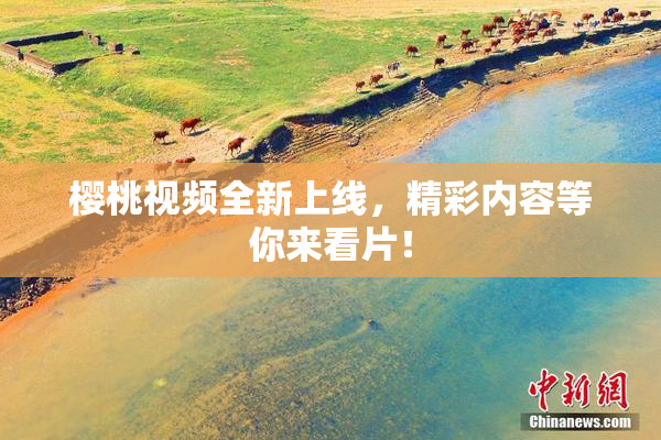 樱桃视频全新上线，精彩内容等你来看片！