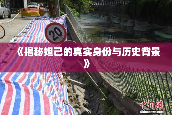 《揭秘妲己的真实身份与历史背景》