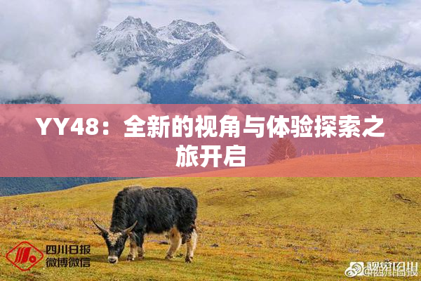 YY48：全新的视角与体验探索之旅开启