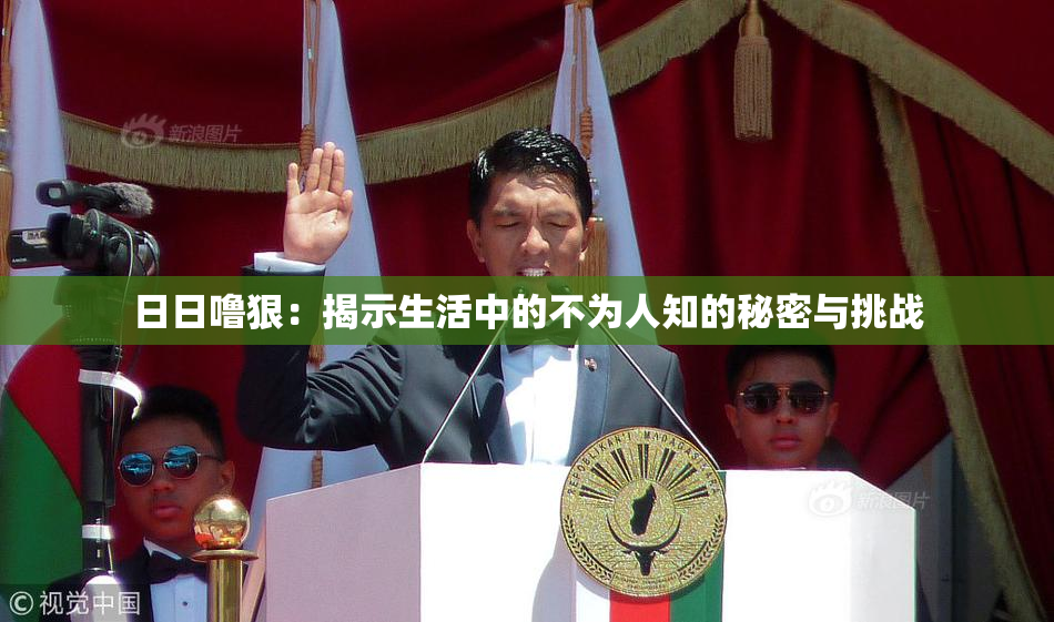 日日噜狠：揭示生活中的不为人知的秘密与挑战