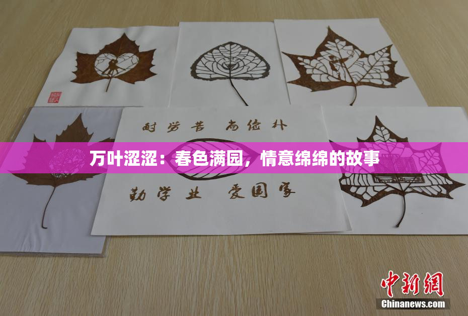 万叶涩涩：春色满园，情意绵绵的故事