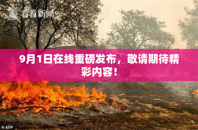 9月1日在线重磅发布，敬请期待精彩内容！
