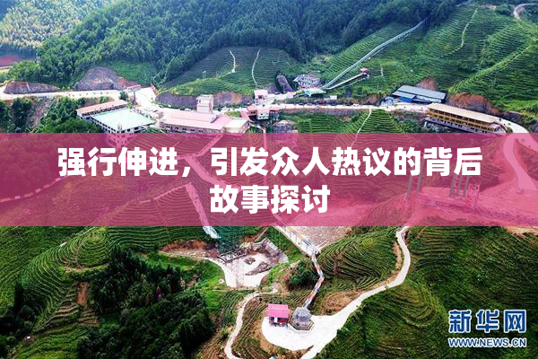 强行伸进，引发众人热议的背后故事探讨