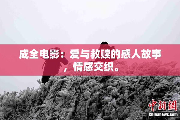 成全电影：爱与救赎的感人故事，情感交织。