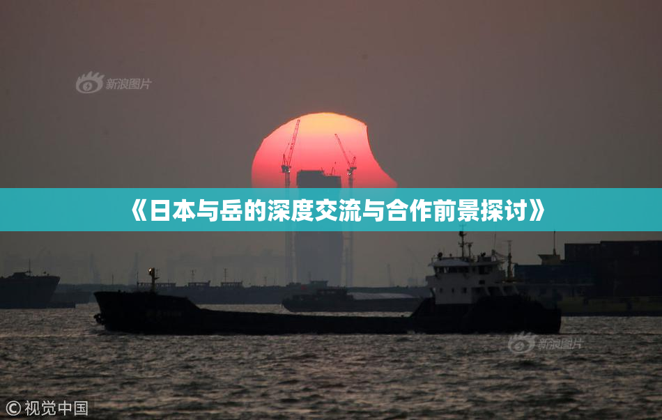 《日本与岳的深度交流与合作前景探讨》
