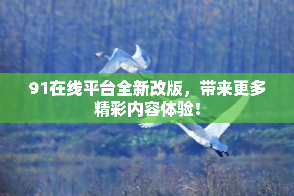 91在线平台全新改版，带来更多精彩内容体验！
