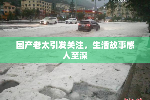 国产老太引发关注，生活故事感人至深