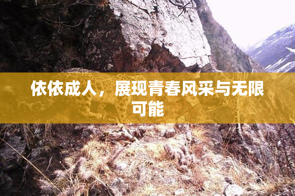 依依成人，展现青春风采与无限可能