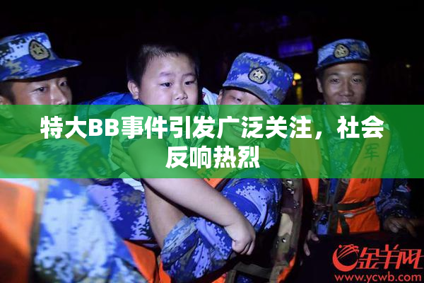 特大BB事件引发广泛关注，社会反响热烈