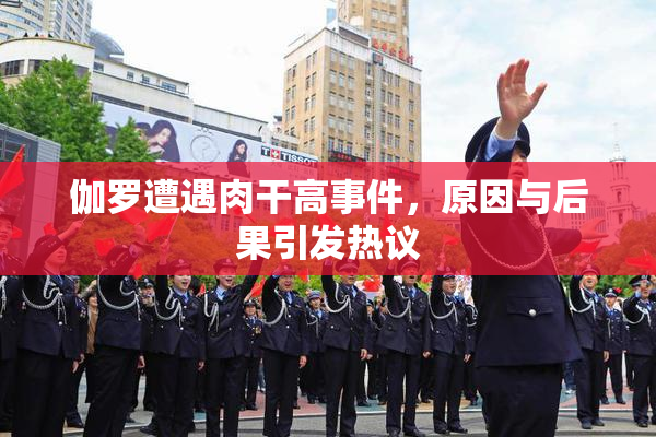 伽罗遭遇肉干高事件，原因与后果引发热议