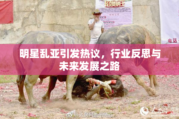 明星乱亚引发热议，行业反思与未来发展之路