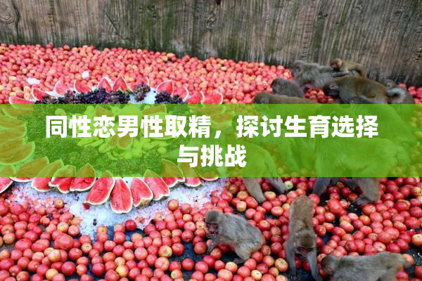 同性恋男性取精，探讨生育选择与挑战