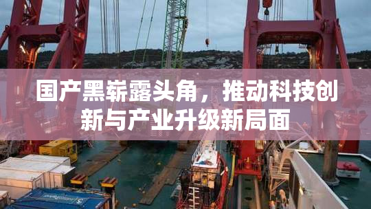 国产黑崭露头角，推动科技创新与产业升级新局面